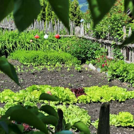 Organic products from the farm Frötscherhof