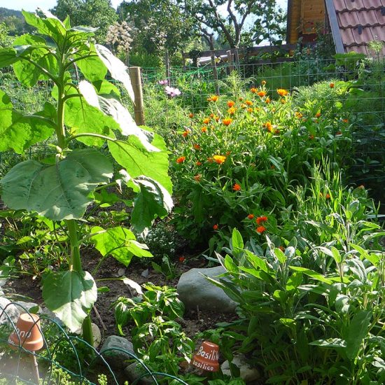 Organic products from the farm Frötscherhof