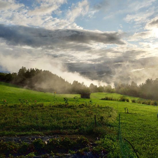 Organic farm in the middle of the Eisack Valley