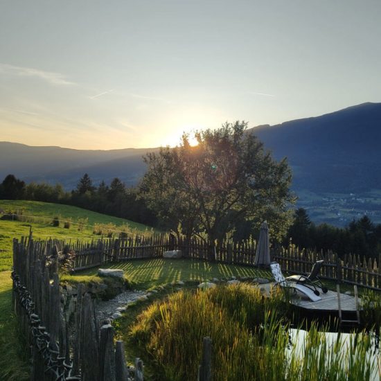 Organic farm in the middle of the Eisack Valley