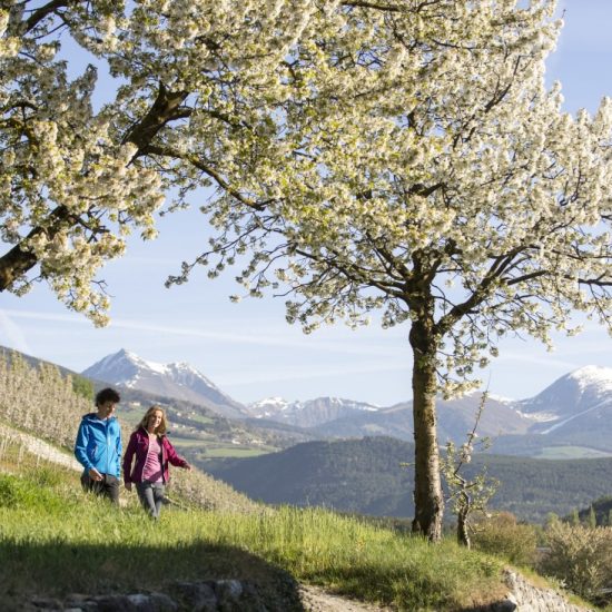 Brixen | Plose | Urlaub in Südtirol