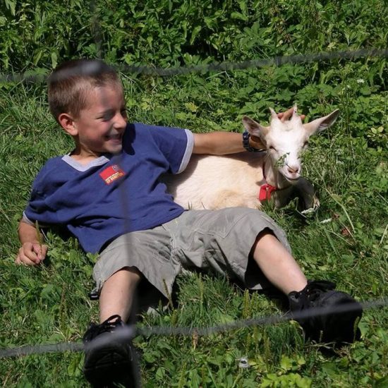 Vacanze in famiglia nella fattoria