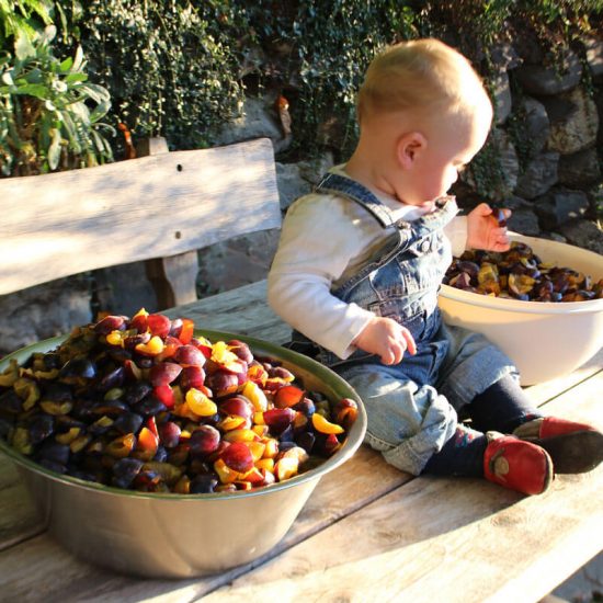 Vacanze in famiglia nella fattoria