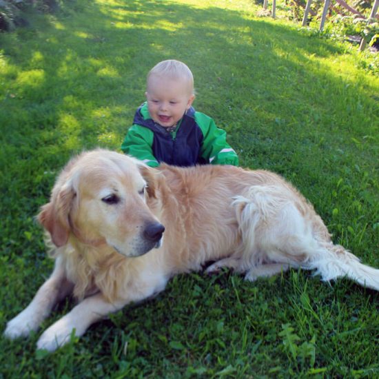 family vacation on the farm