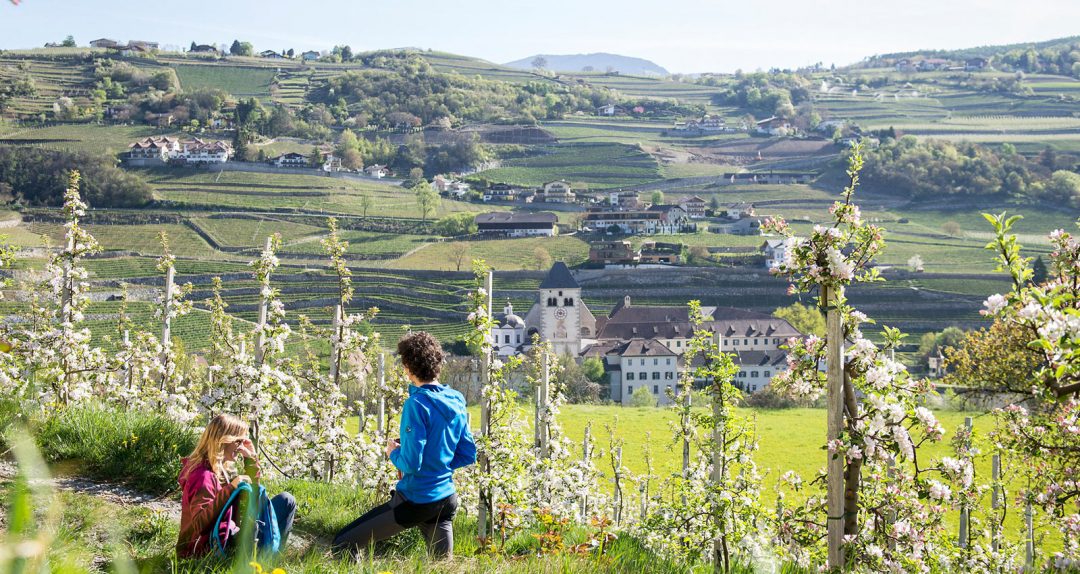 Risveglio della primavera