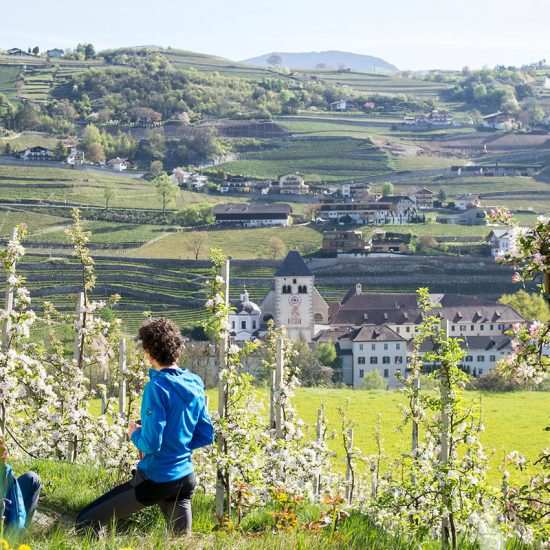 Risveglio della primavera