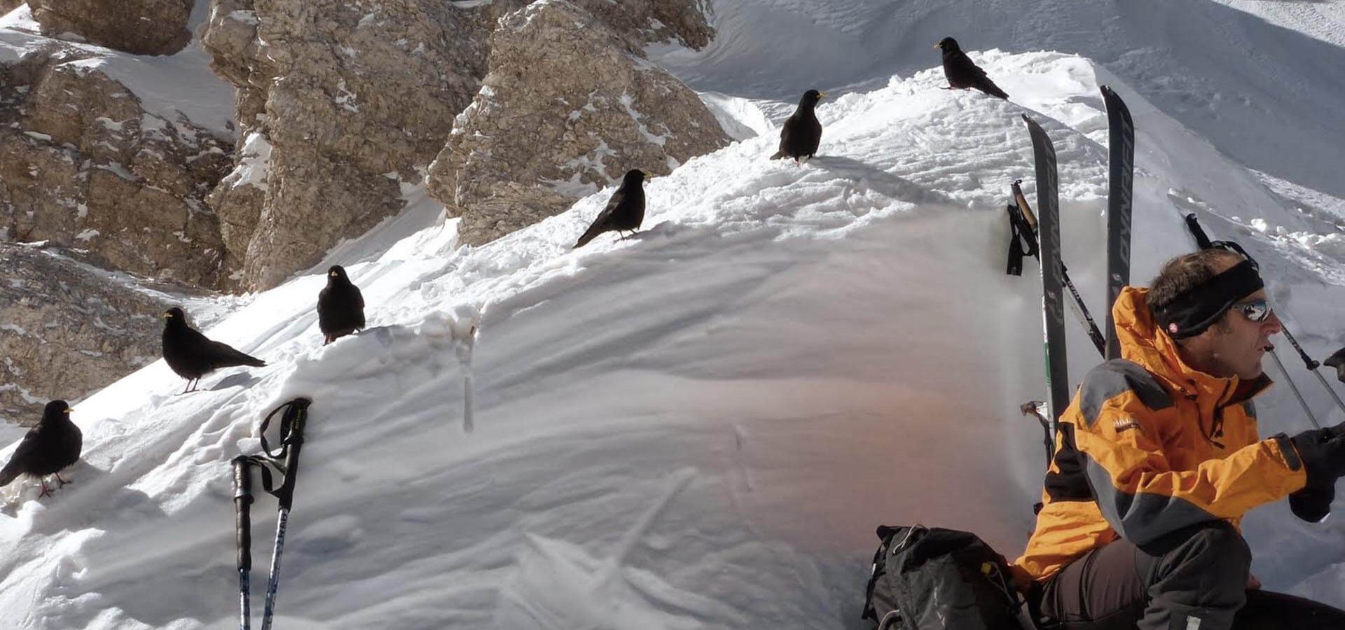 Skigebiet Plose - Winterurlaub Südtirol