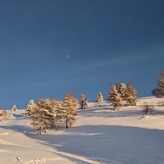 Winterurlaub in den Dolomiten auf der Plose