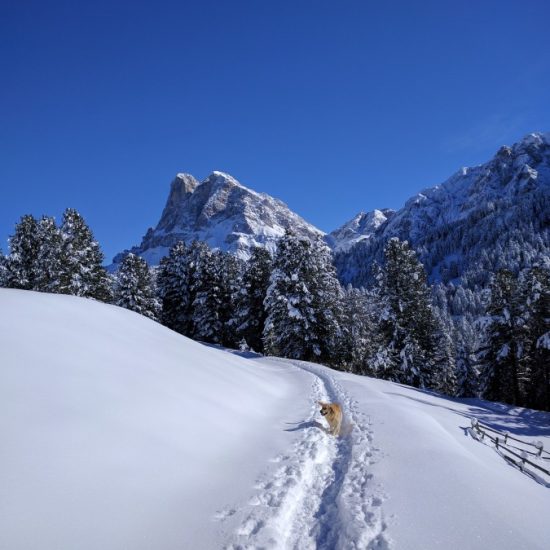 Winterurlaub in den Dolomiten auf der Plose