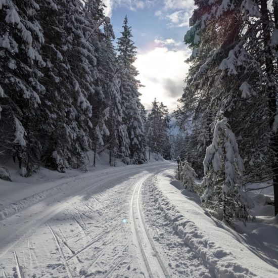 Winterurlaub in den Dolomiten auf der Plose